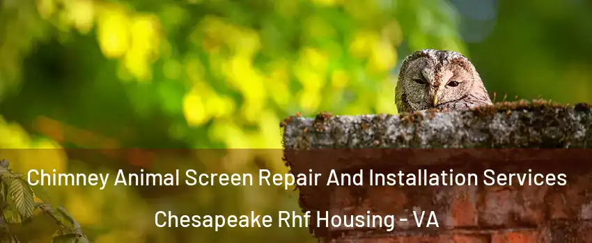 Chimney Animal Screen Repair And Installation Services Chesapeake Rhf Housing - VA
