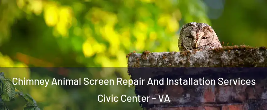Chimney Animal Screen Repair And Installation Services Civic Center - VA