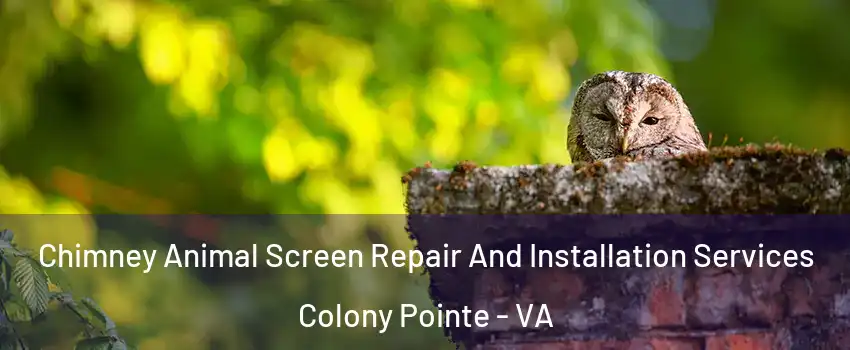 Chimney Animal Screen Repair And Installation Services Colony Pointe - VA