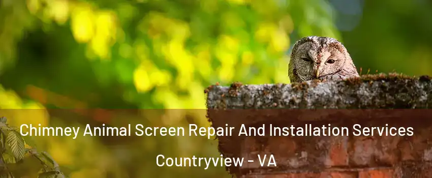 Chimney Animal Screen Repair And Installation Services Countryview - VA