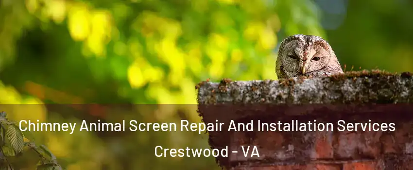 Chimney Animal Screen Repair And Installation Services Crestwood - VA
