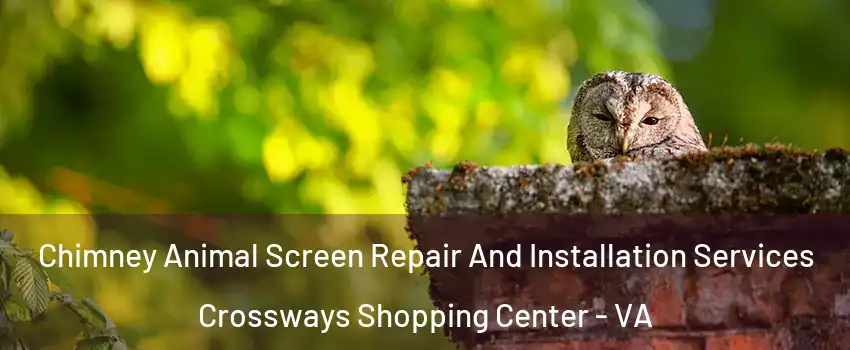 Chimney Animal Screen Repair And Installation Services Crossways Shopping Center - VA