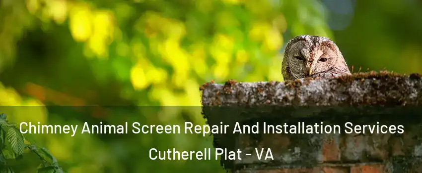 Chimney Animal Screen Repair And Installation Services Cutherell Plat - VA