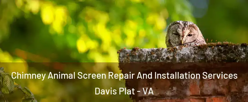 Chimney Animal Screen Repair And Installation Services Davis Plat - VA