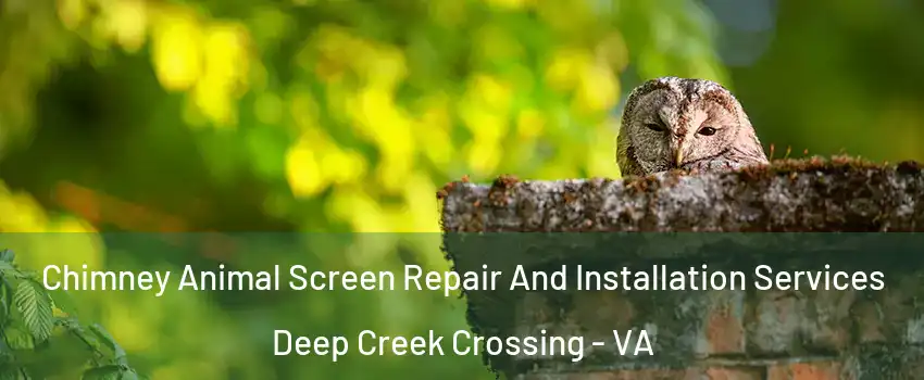 Chimney Animal Screen Repair And Installation Services Deep Creek Crossing - VA