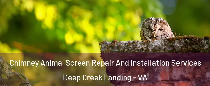 Chimney Animal Screen Repair And Installation Services Deep Creek Landing - VA