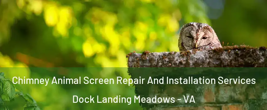 Chimney Animal Screen Repair And Installation Services Dock Landing Meadows - VA