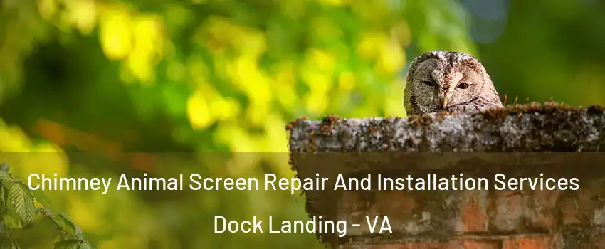 Chimney Animal Screen Repair And Installation Services Dock Landing - VA