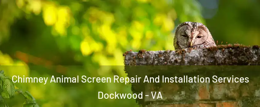 Chimney Animal Screen Repair And Installation Services Dockwood - VA