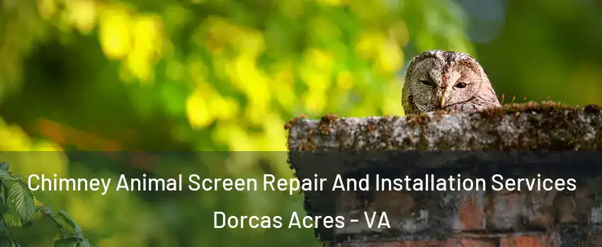Chimney Animal Screen Repair And Installation Services Dorcas Acres - VA