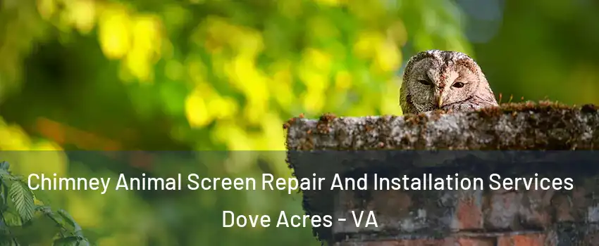 Chimney Animal Screen Repair And Installation Services Dove Acres - VA