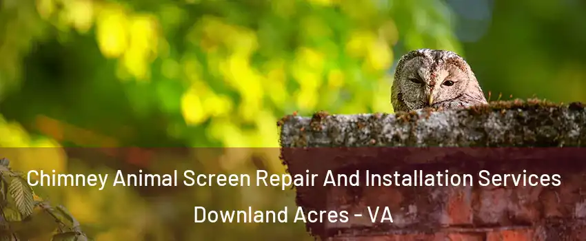 Chimney Animal Screen Repair And Installation Services Downland Acres - VA