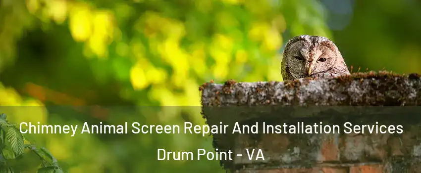 Chimney Animal Screen Repair And Installation Services Drum Point - VA