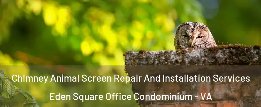 Chimney Animal Screen Repair And Installation Services Eden Square Office Condominium - VA