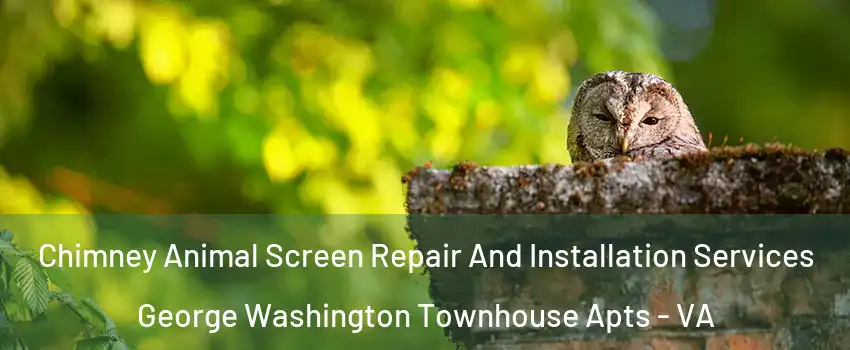 Chimney Animal Screen Repair And Installation Services George Washington Townhouse Apts - VA