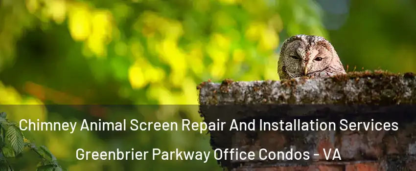 Chimney Animal Screen Repair And Installation Services Greenbrier Parkway Office Condos - VA