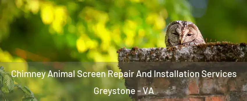 Chimney Animal Screen Repair And Installation Services Greystone - VA
