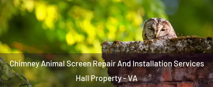 Chimney Animal Screen Repair And Installation Services Hall Property - VA