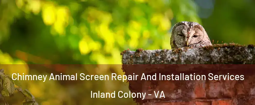 Chimney Animal Screen Repair And Installation Services Inland Colony - VA
