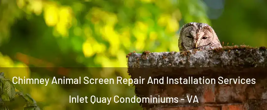 Chimney Animal Screen Repair And Installation Services Inlet Quay Condominiums - VA