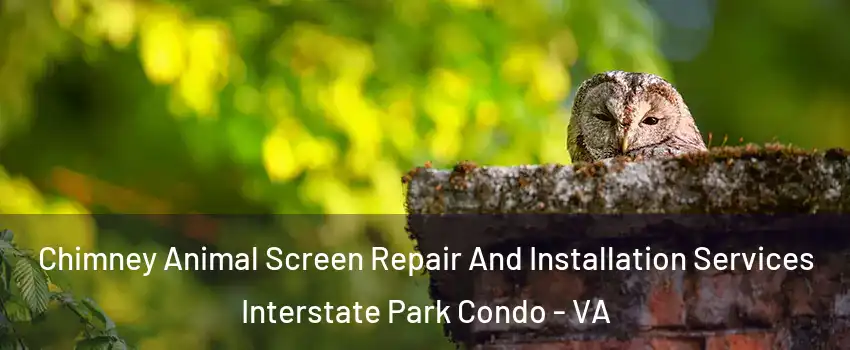 Chimney Animal Screen Repair And Installation Services Interstate Park Condo - VA