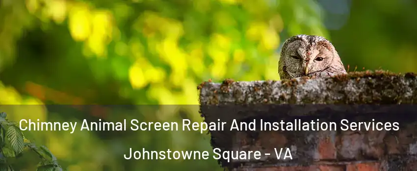 Chimney Animal Screen Repair And Installation Services Johnstowne Square - VA