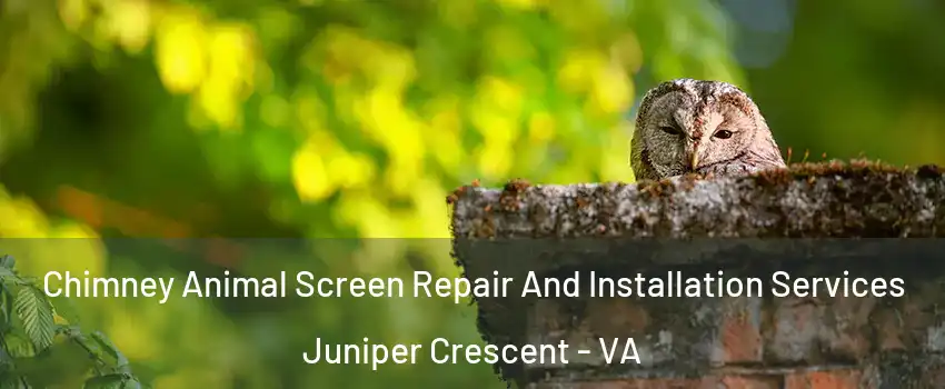 Chimney Animal Screen Repair And Installation Services Juniper Crescent - VA