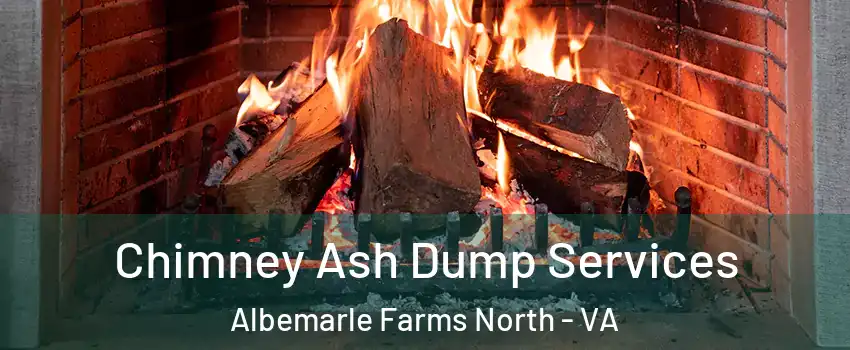 Chimney Ash Dump Services Albemarle Farms North - VA