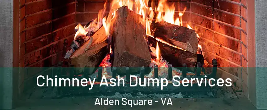 Chimney Ash Dump Services Alden Square - VA