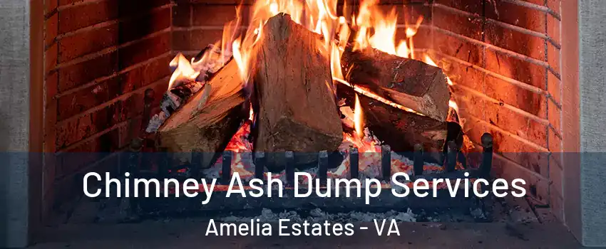 Chimney Ash Dump Services Amelia Estates - VA