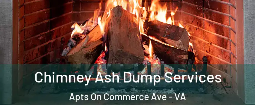 Chimney Ash Dump Services Apts On Commerce Ave - VA