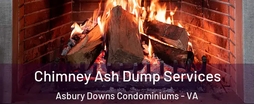 Chimney Ash Dump Services Asbury Downs Condominiums - VA