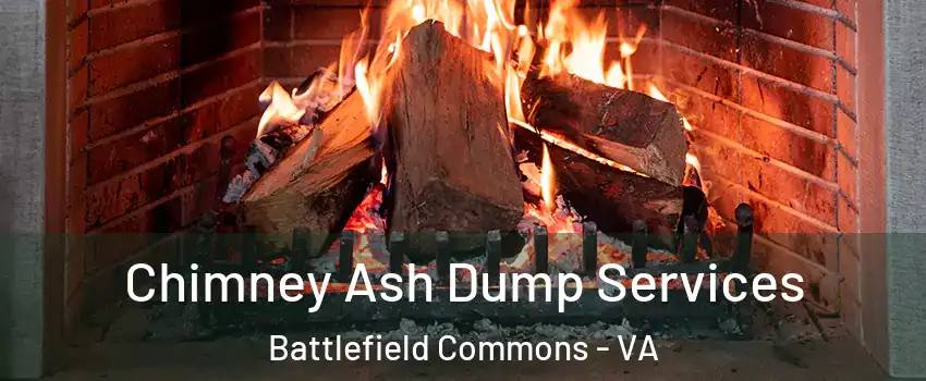 Chimney Ash Dump Services Battlefield Commons - VA