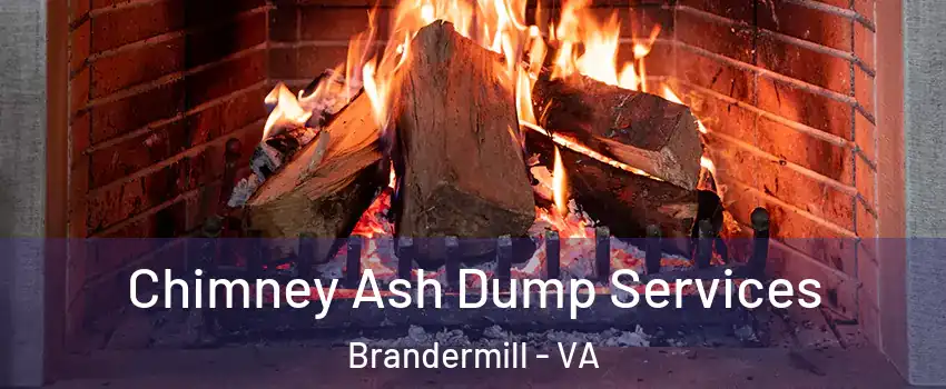 Chimney Ash Dump Services Brandermill - VA