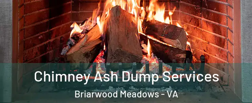 Chimney Ash Dump Services Briarwood Meadows - VA