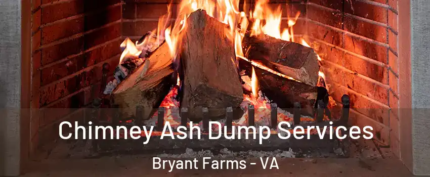 Chimney Ash Dump Services Bryant Farms - VA