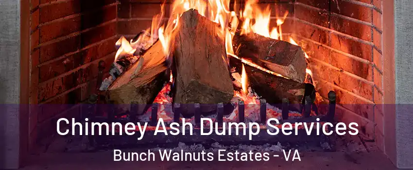 Chimney Ash Dump Services Bunch Walnuts Estates - VA