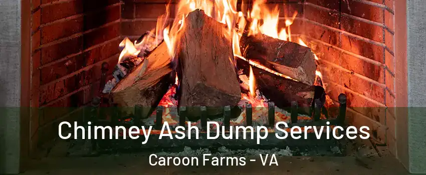 Chimney Ash Dump Services Caroon Farms - VA