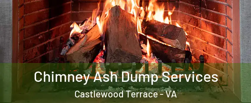 Chimney Ash Dump Services Castlewood Terrace - VA