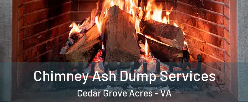 Chimney Ash Dump Services Cedar Grove Acres - VA