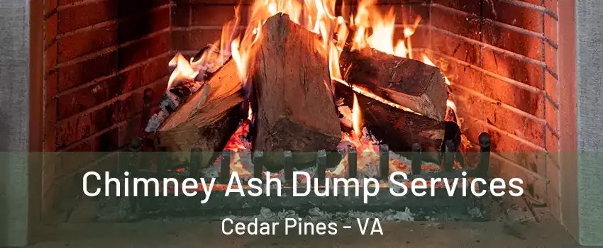 Chimney Ash Dump Services Cedar Pines - VA