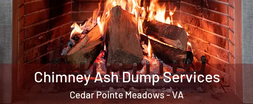 Chimney Ash Dump Services Cedar Pointe Meadows - VA