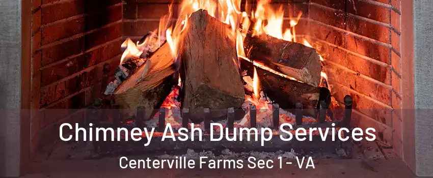 Chimney Ash Dump Services Centerville Farms Sec 1 - VA