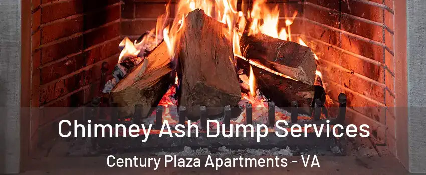 Chimney Ash Dump Services Century Plaza Apartments - VA