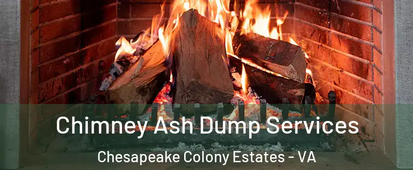 Chimney Ash Dump Services Chesapeake Colony Estates - VA