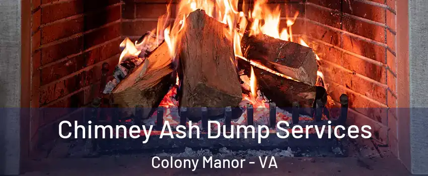 Chimney Ash Dump Services Colony Manor - VA