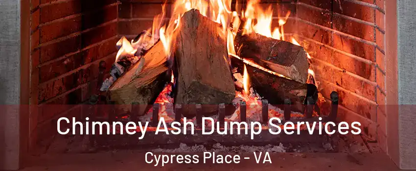 Chimney Ash Dump Services Cypress Place - VA