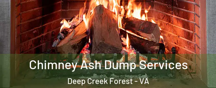 Chimney Ash Dump Services Deep Creek Forest - VA