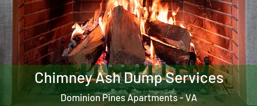 Chimney Ash Dump Services Dominion Pines Apartments - VA