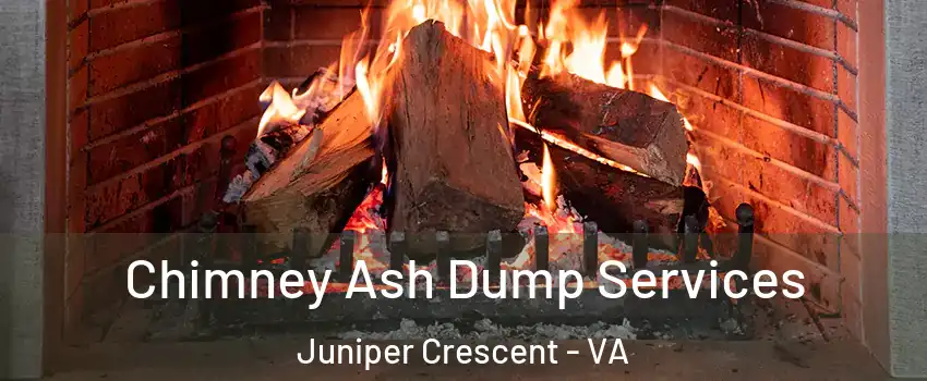 Chimney Ash Dump Services Juniper Crescent - VA